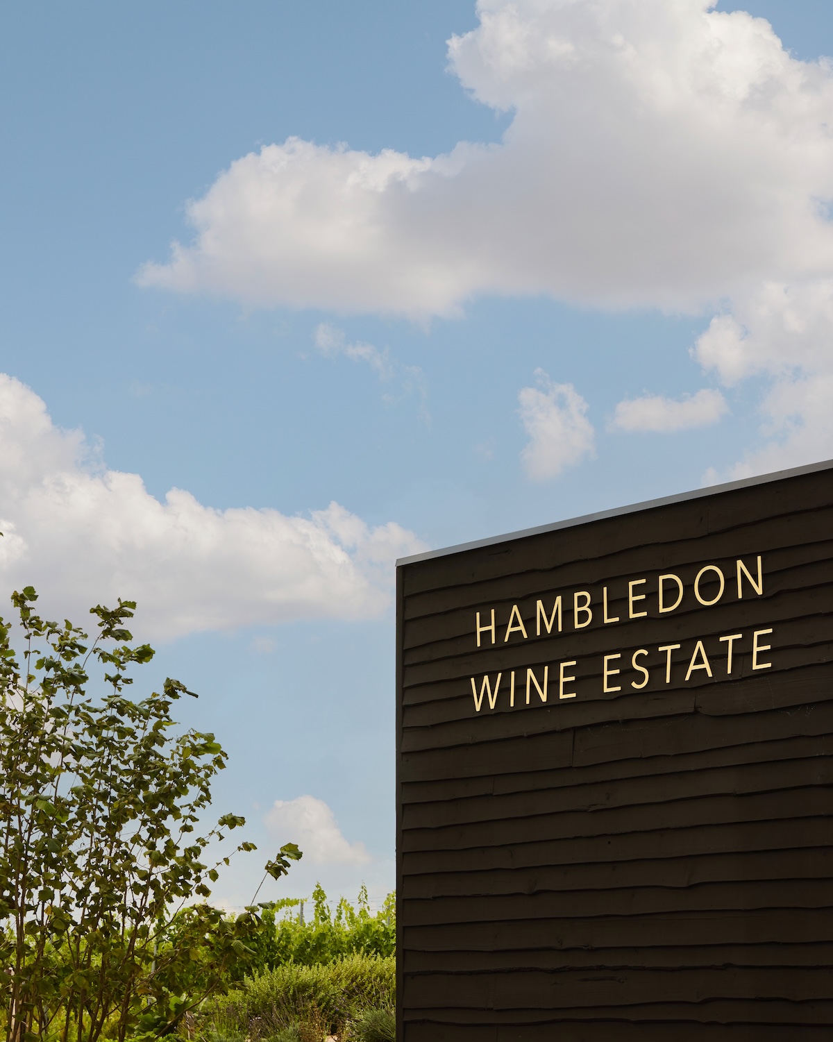 Hambledon Tasting Table