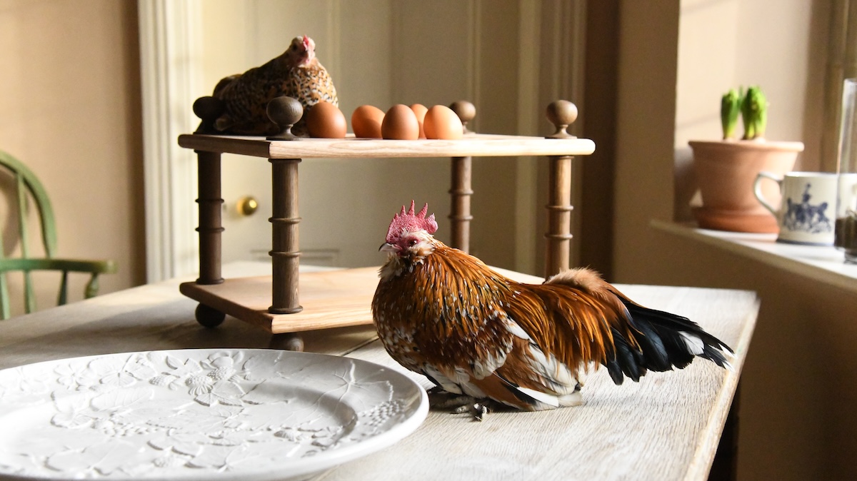 Rectory Egg Rack
